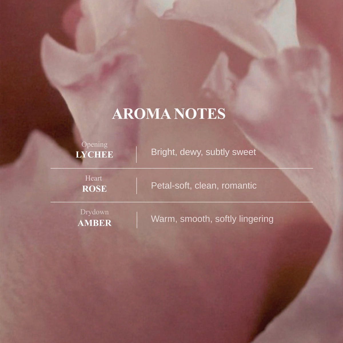 Still Rose Body Wash | Lychee · Rose · Warm Amber
