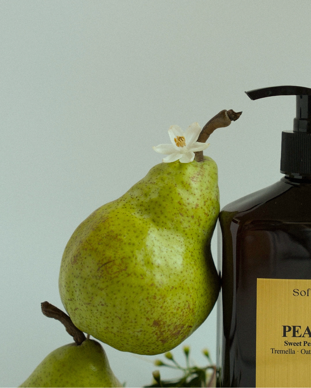Pear Fall Body Wash | Tremella, Oat & B5